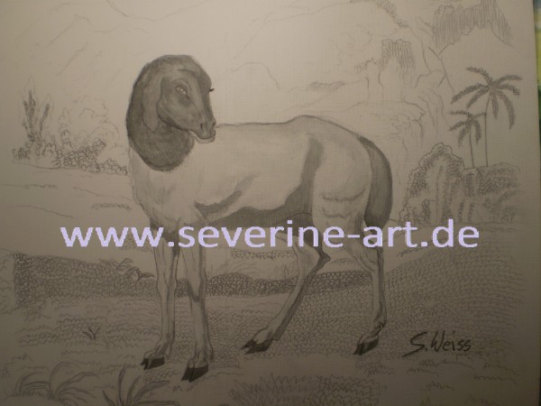 3.Bild der Tierserie 3.Bild der Tierserie