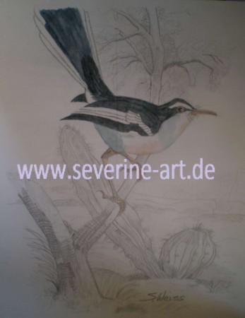 4.Bild der Tierserie 4.Bild der Tierserie