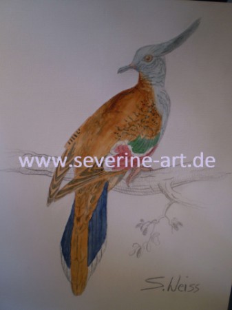 5.Bild der Tierserie 5.Bild der Tierserie