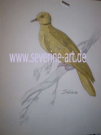 6.Bild der Tierserie 6.Bild der Tierserie