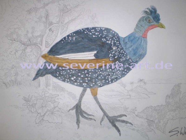9.Bild der Tierserie 9.Bild der Tierserie