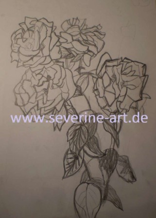 Skizze Rosen Skizze Rosen