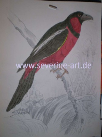 7.Bild der Tierserie 7.Bild der Tierserie